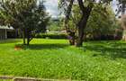 Commercial Property with Backup Generator in Lavington - 4