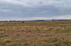 700 ac Land at Bisil - 5