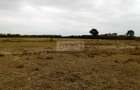 506 m² Land in Kitengela - 3