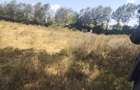 0.5 ac Land in Karen - 5