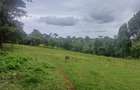 6 ac Land in Tigoni - 10