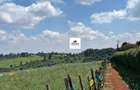 16.5 ac Land in Tigoni - 5