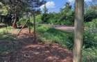 0.125 ac Residential Land at Juja Gatundu Road - 9