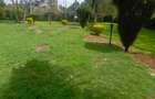2 Bed House with Garden in Nyari - 2