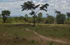 0.05 ha Land at Tumaini Estate - 14