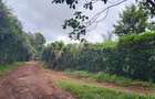 1 ac Land at Limuru Road Ack St Julian - 8