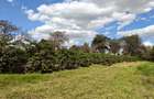 0.25 ac Commercial Land in Kiambu Road - 3