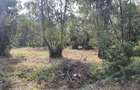 Land in Karen - 3