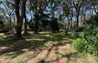1 ac Land in Karen - 2