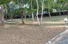 5 Bed Villa with En Suite at Goroda Watamu - 6