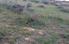 Land in Konza City - 5