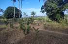 1,450 ac Land at Mabokoni - 5