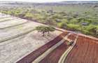 540 ac Land in Bisil - 5