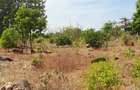 Land at Vipingo - 10