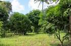 Land at Mtwapa - 4