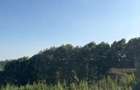 4 ac Land at Riara Ridge - 2