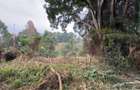 1 ac Land in Kitisuru - 12