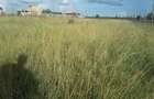 0.0125 ac Residential Land in Ongata Rongai - 4