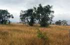 8 ac Land in Athi River - 2