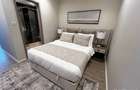 Furnished Studio Apartment with En Suite in Nyari - 2