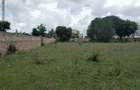 5 ac Land at Mavueni - 5
