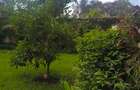 Residential Land at Hardy Area - 15
