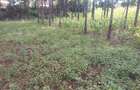 0.113 ac Commercial Land in Ongata Rongai - 18