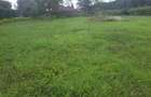 0.1 ha Residential Land in Ongata Rongai - 4