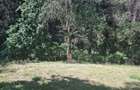 0.75 ac Residential Land at Off Naivasha Avenue - 2