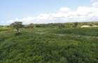 1,012 m² Residential Land at Diani Beach Road - 11