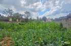 Residential Land in Runda - 5