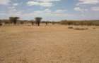 Land at Athi River - 8