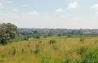 Residential Land in Runda - 14