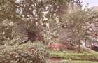 1 ac Land in Spring Valley - 3