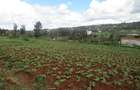 4.5 ac Land at Kibiko - 7