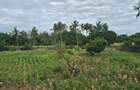 6 ac Land at Bomani - 17