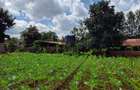 0.5 ac Residential Land in Karen - 8