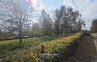 0.5 ac Residential Land in Ridgeways - 3