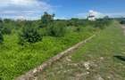 Land in Vipingo - 11