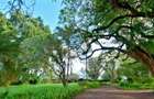 0.125 ac Land in Ruiru - 2