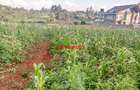 0.2 ha Residential Land at Ondiri - 4