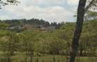 0.25 ac Land in Ngong - 5