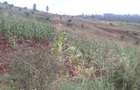 64,000 ft² Land at Kiambu Riabai - 7