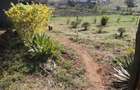 0.05 ha Residential Land at Kibiko - Ngong - 4