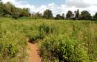 5 ac Land at Rhino Park Road - 4