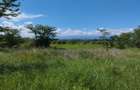 8.5 ac Land at Jua Kali - 1