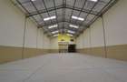 Warehouse with Cctv in Athi River - 4