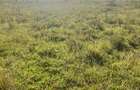 Residential Land at Sunshine - 7