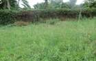 1,214 m² Commercial Land at Mugutha - 10