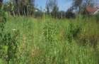 0.113 ac Residential Land in Ongata Rongai - 3